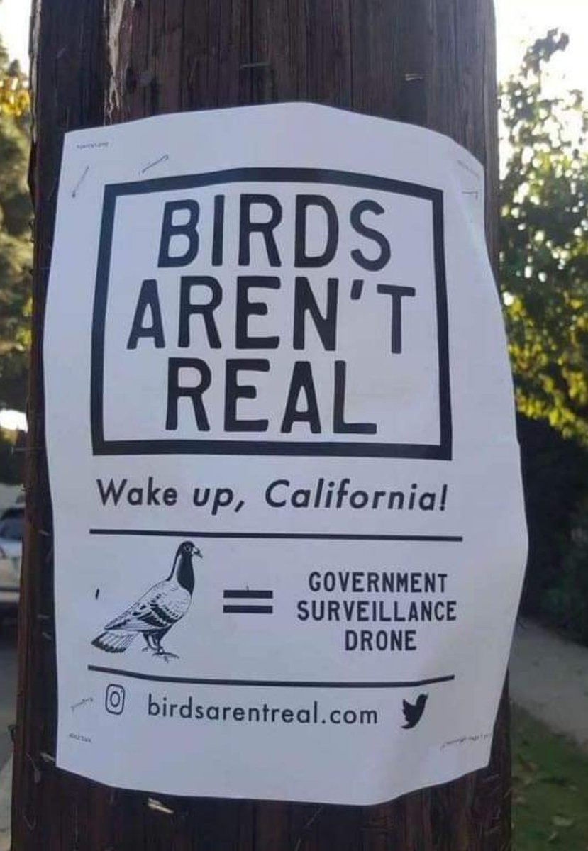 0xyd0xxy 🛡 ✨️ 💙 🧡 🔴 🌿 tweet media