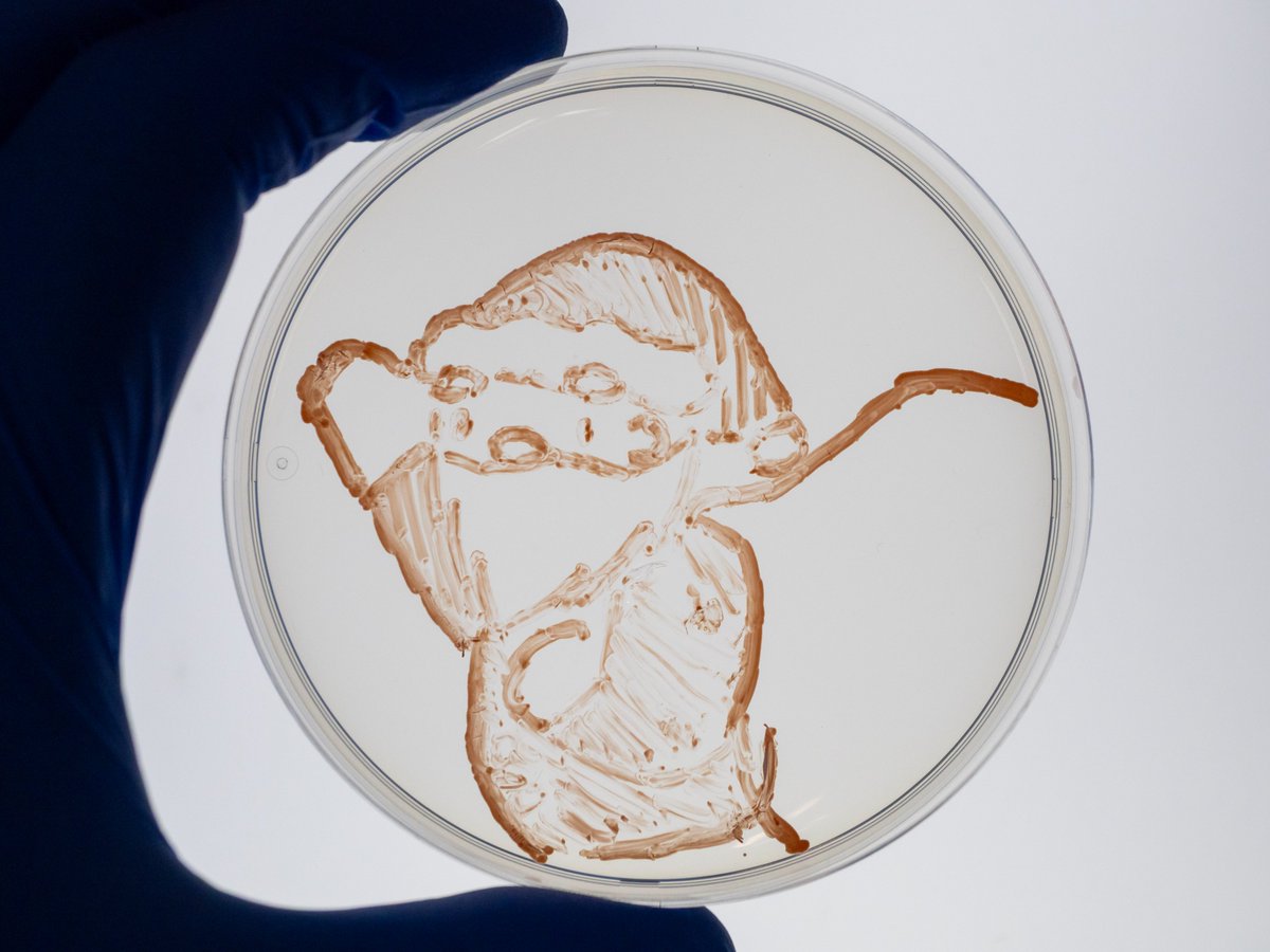 微生物アートのご紹介        
「#サンタクロース」（2年生の高木さん作）
使用微生物：未同定細菌 
使用培地：標準寒天培地