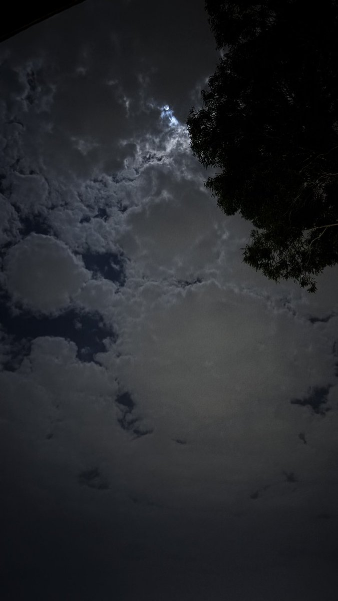 1ec___'s tweet image. "وجليس تُودّه يُِسامر مِعك ليالي الشتاء".