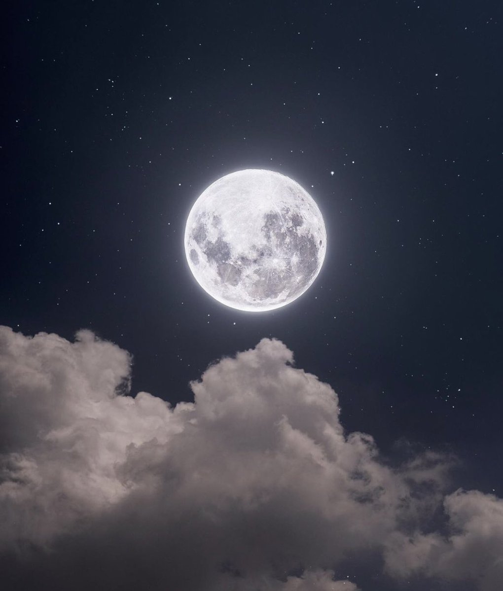 MOON PORN (@moonporn_) on Twitter photo 