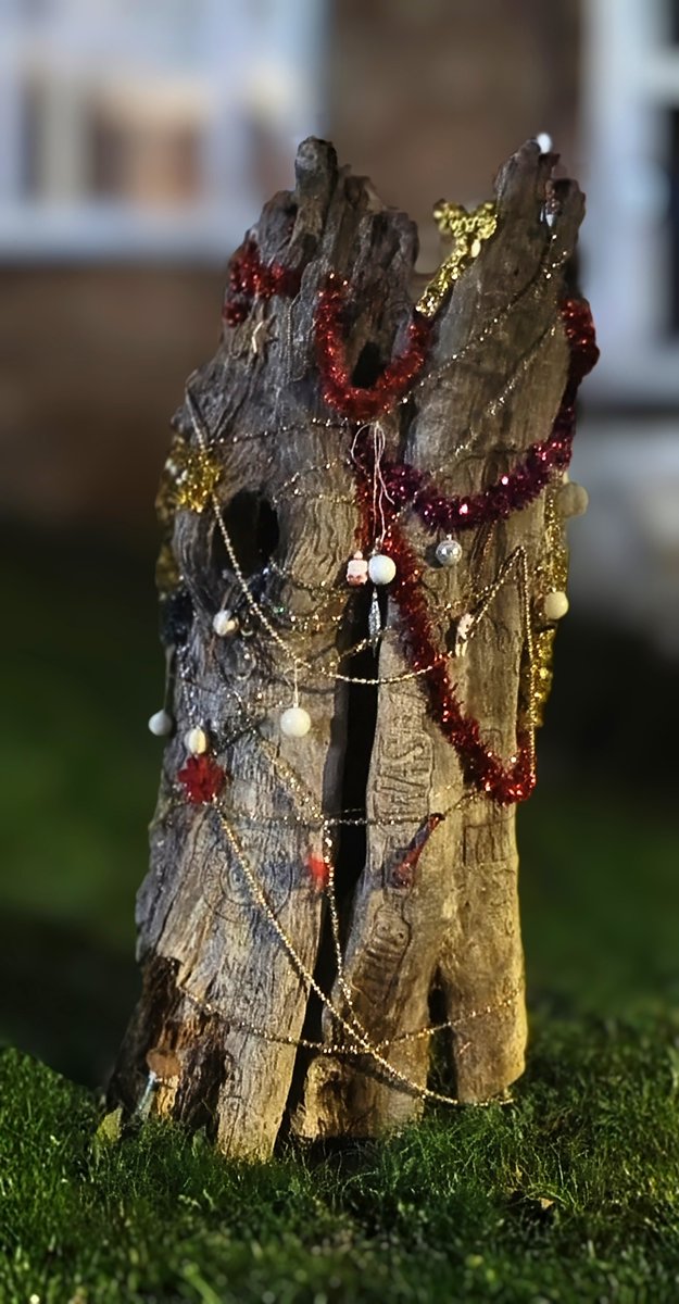 ebb_boards's tweet image. London. Yes.
Trafalgar Square. No.