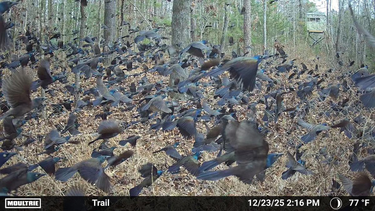 Tim Medin tweet media