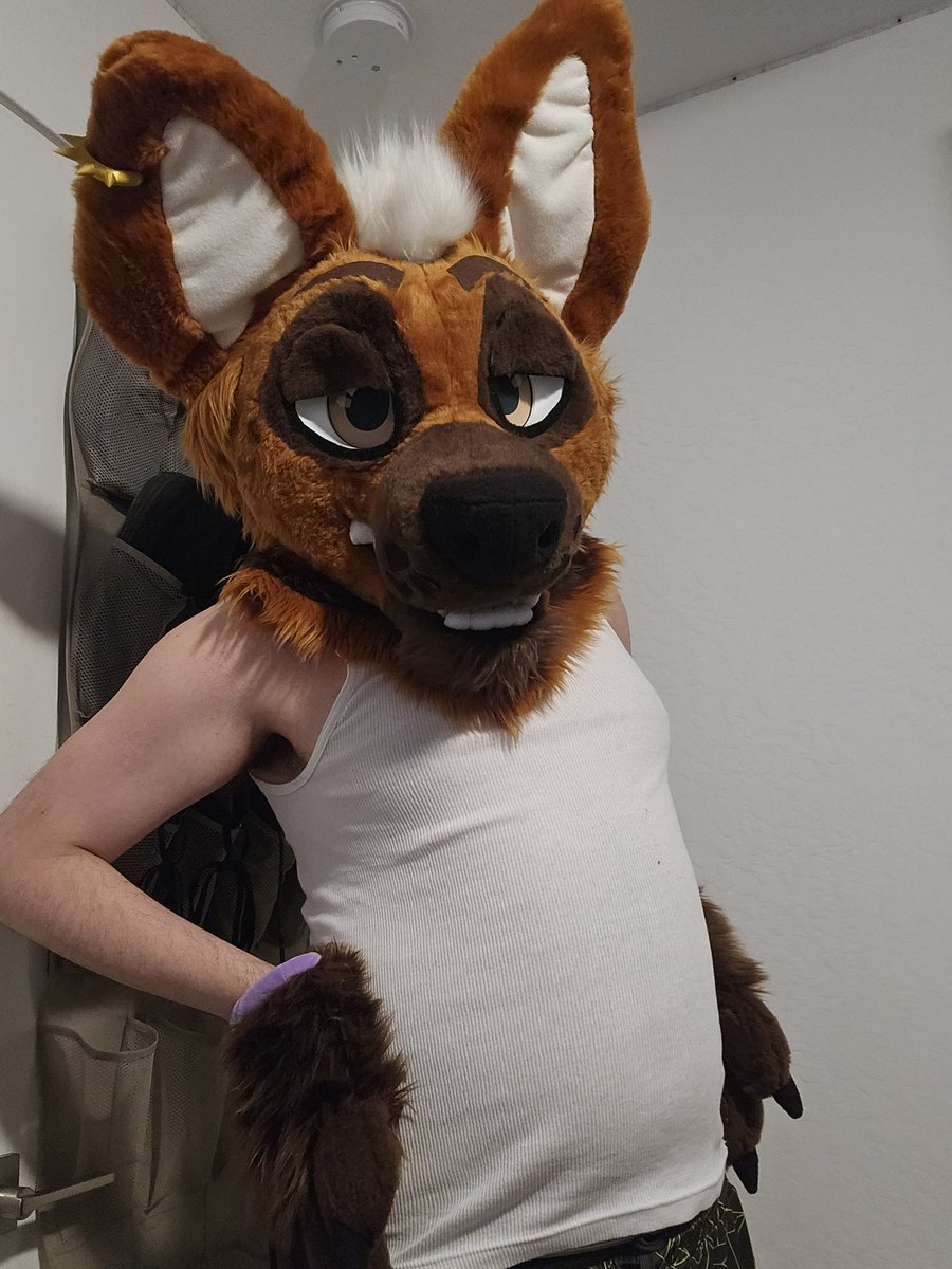 🌴Alek🌴 tweet media