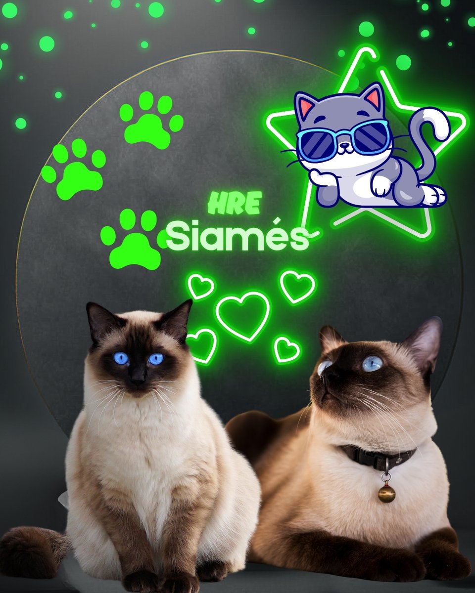 Mascotas Cachorros perros gatos Colombia club tweet media