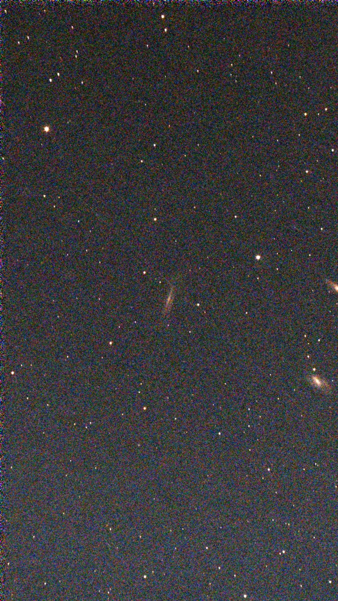 ⭐️たらこです 濃厚たらこパスタ「たらこと私」 上平間店 Tarako to Watashiの