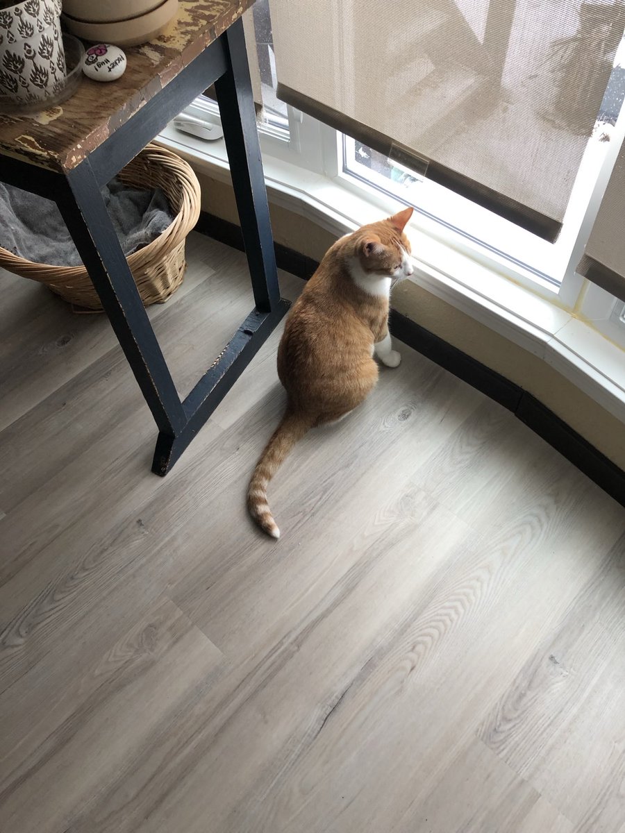 UnitOrange's tweet image. Orange Unit decided not to give a weather report today.