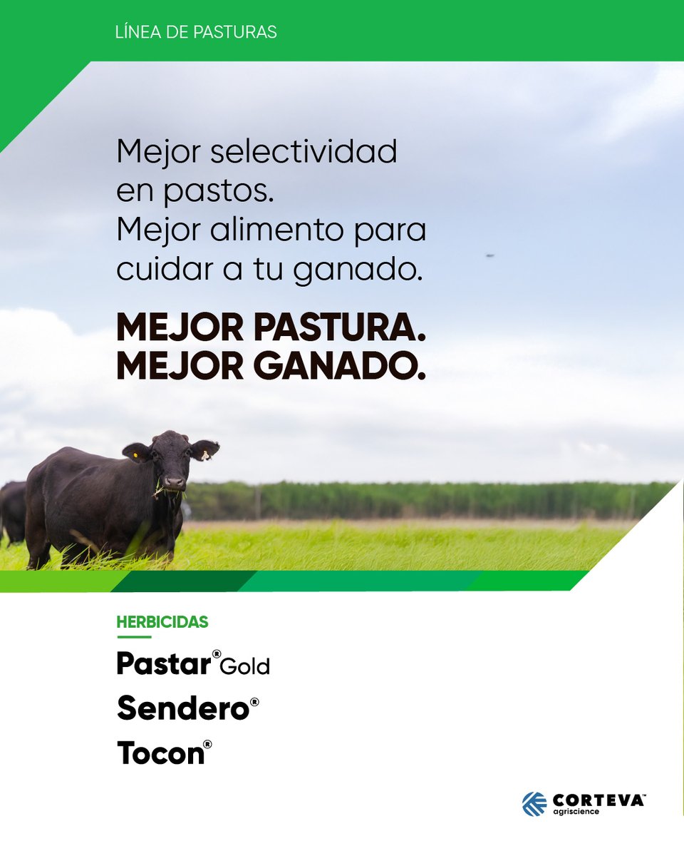 La línea de pasturas contiene principios activos específicos para controlar las malezas más difíciles, obteniendo resultados contundentes y diferenciales para cuidar tu campo.