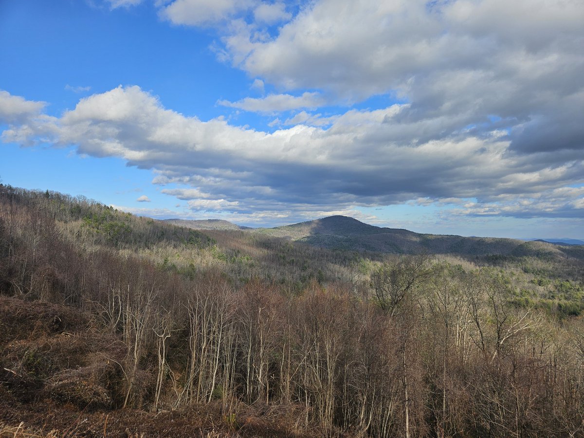 danescalise's tweet image. Burke County, Western North Carolina.