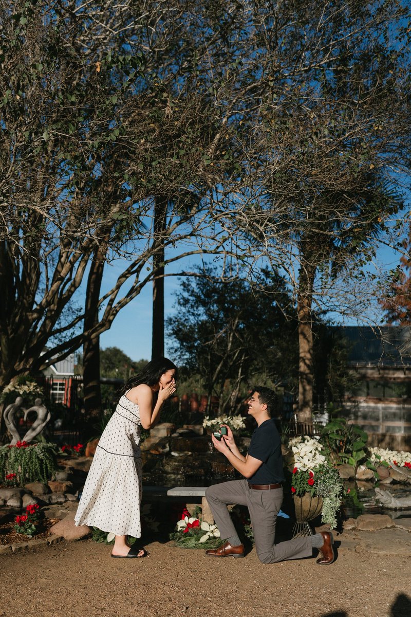 Daniel Salib tweet media