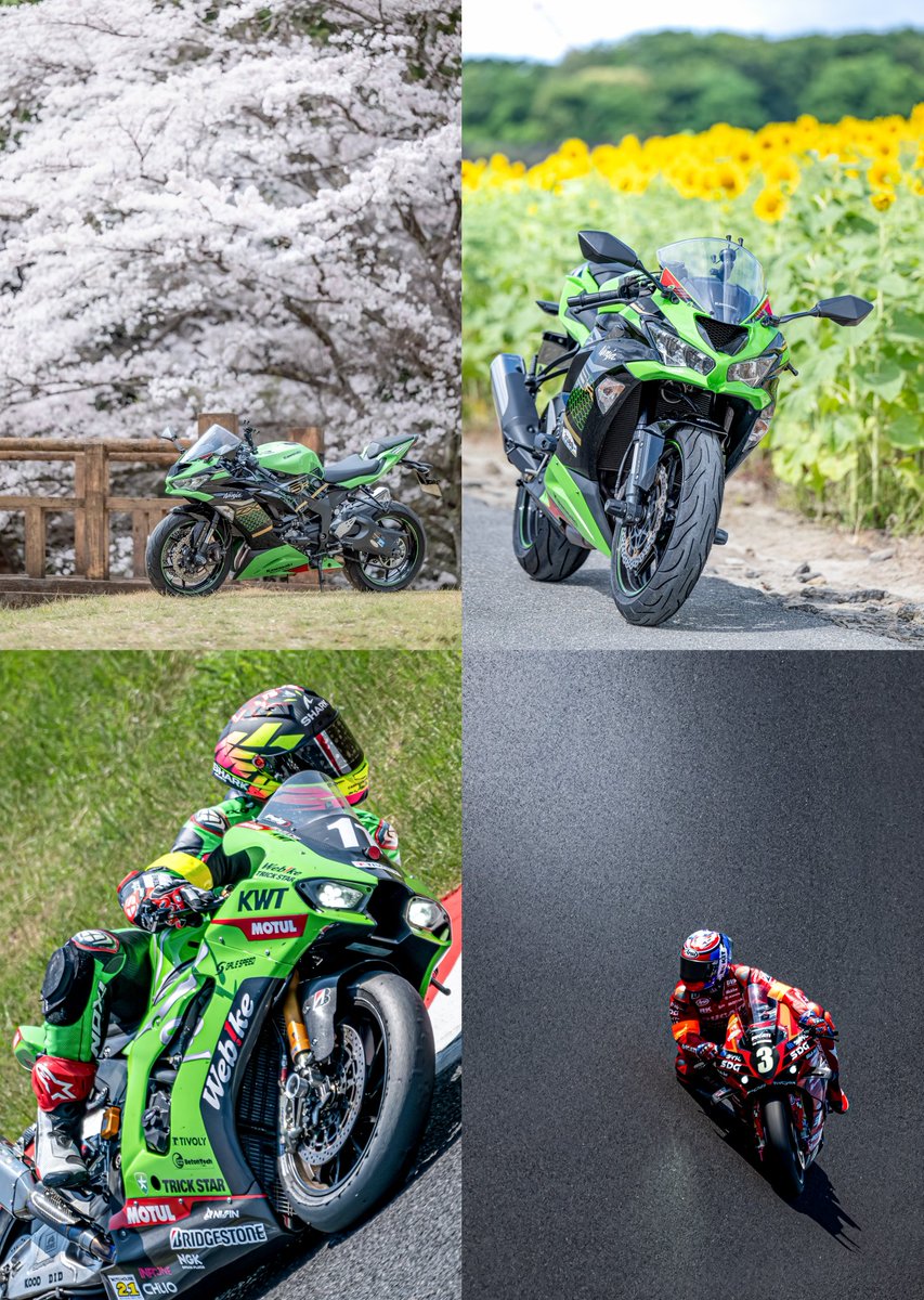 2025年自分が選ぶ今年の4枚 伸びた投稿を元にピックアップ 今年は超絶