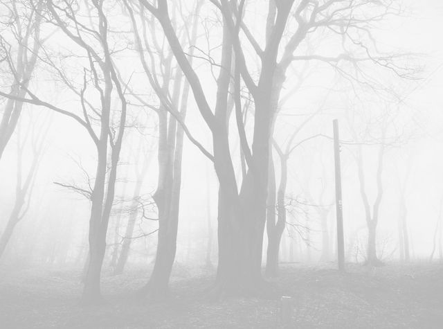 ️️️ ️️️️️ ️ ️️️️️️ ️️️️️ (@quietitud) on Twitter photo 