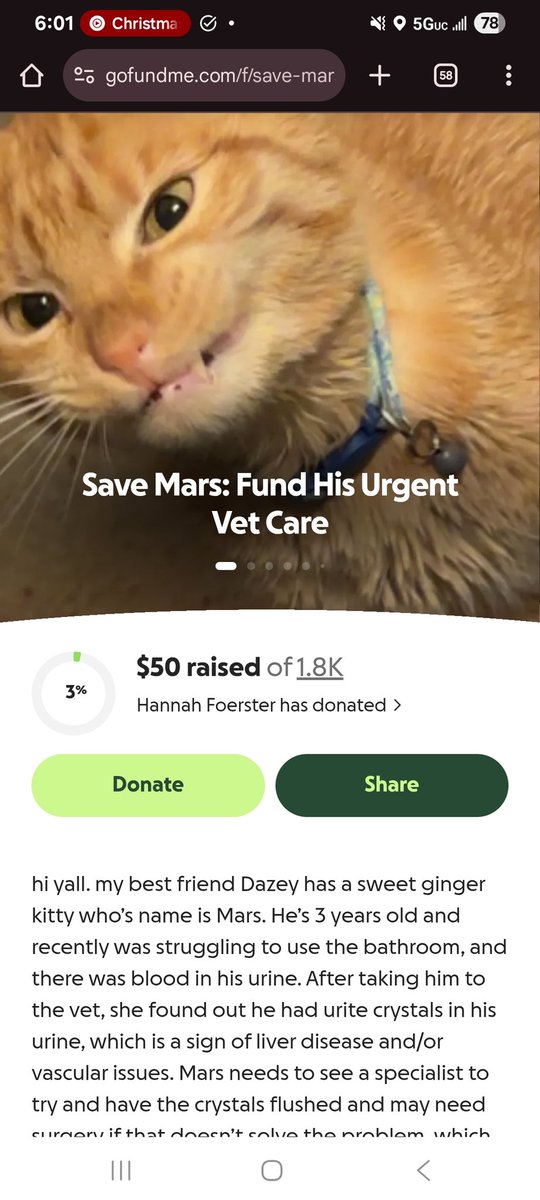 lushguts's tweet photo. Hey guys!! If you could read and share this around it would really mean a lot!! 

https://t.co/JRdIiwmfCn https://t.co/41up8us1TN