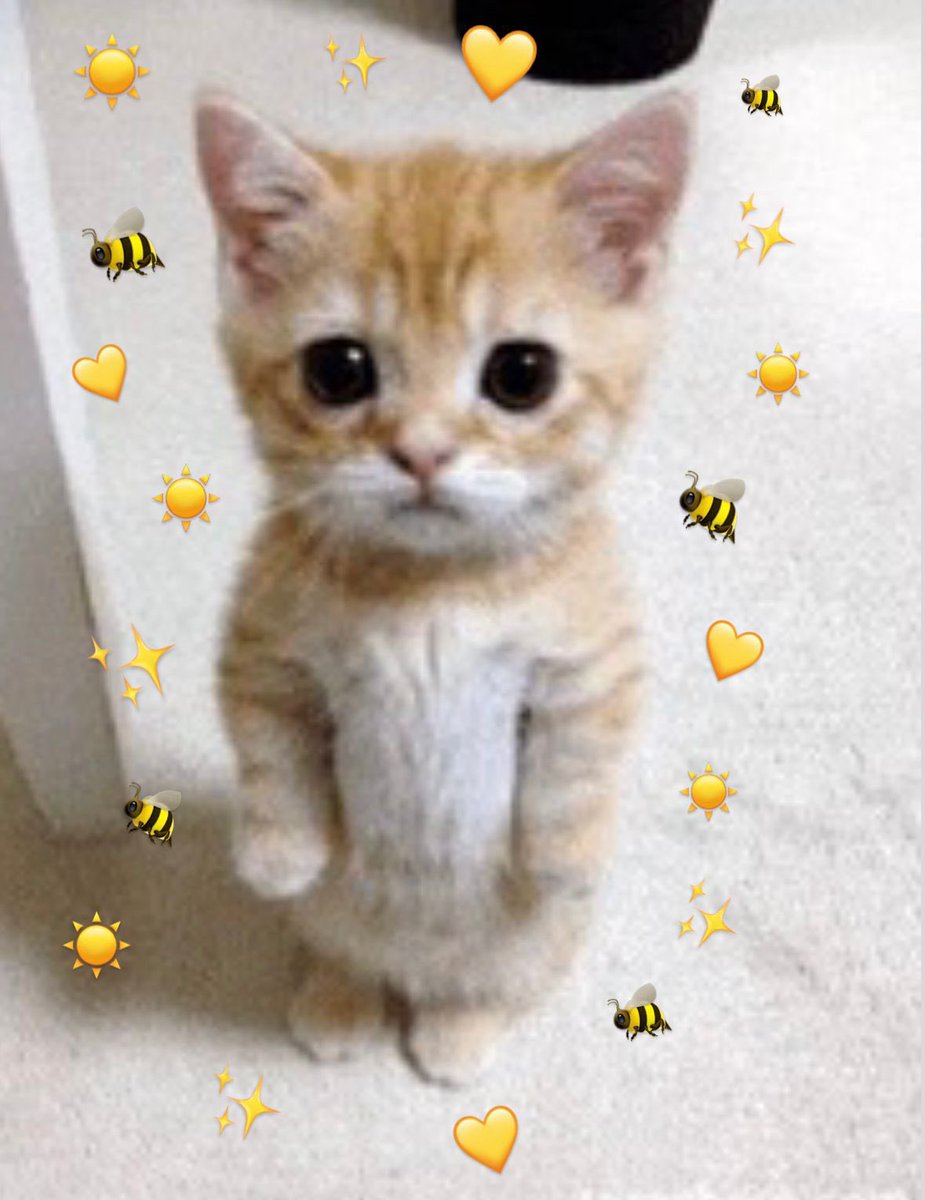 Bon anniversaire <a href="/Vitality_Neo/">Fabien 'Neo' Devide</a> merci pour cette année incroyable 💛🐝