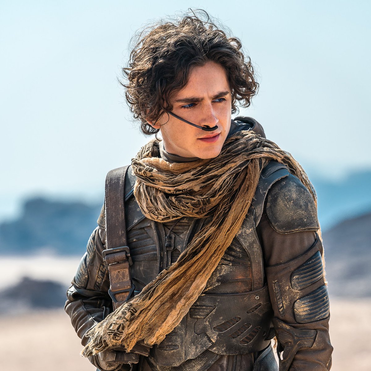 Boxreport's tweet image. Duelo de titãs! 

Duna 3 e Vingadores: Doomsday serão lançados no mesmo dia, 18 de dezembro de 2026.

A Warner Bros não pretende mudar a data de lançamento do filme.