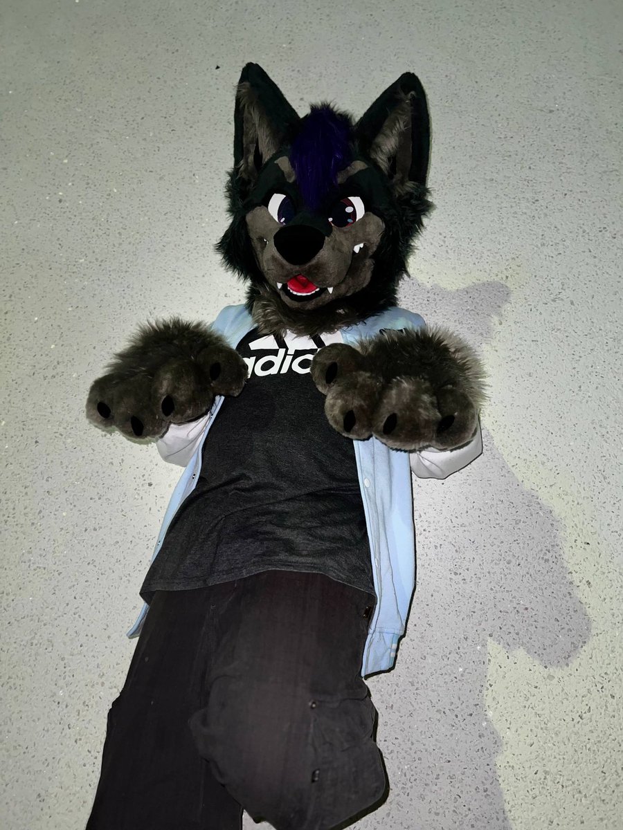 rotolfin tweet media