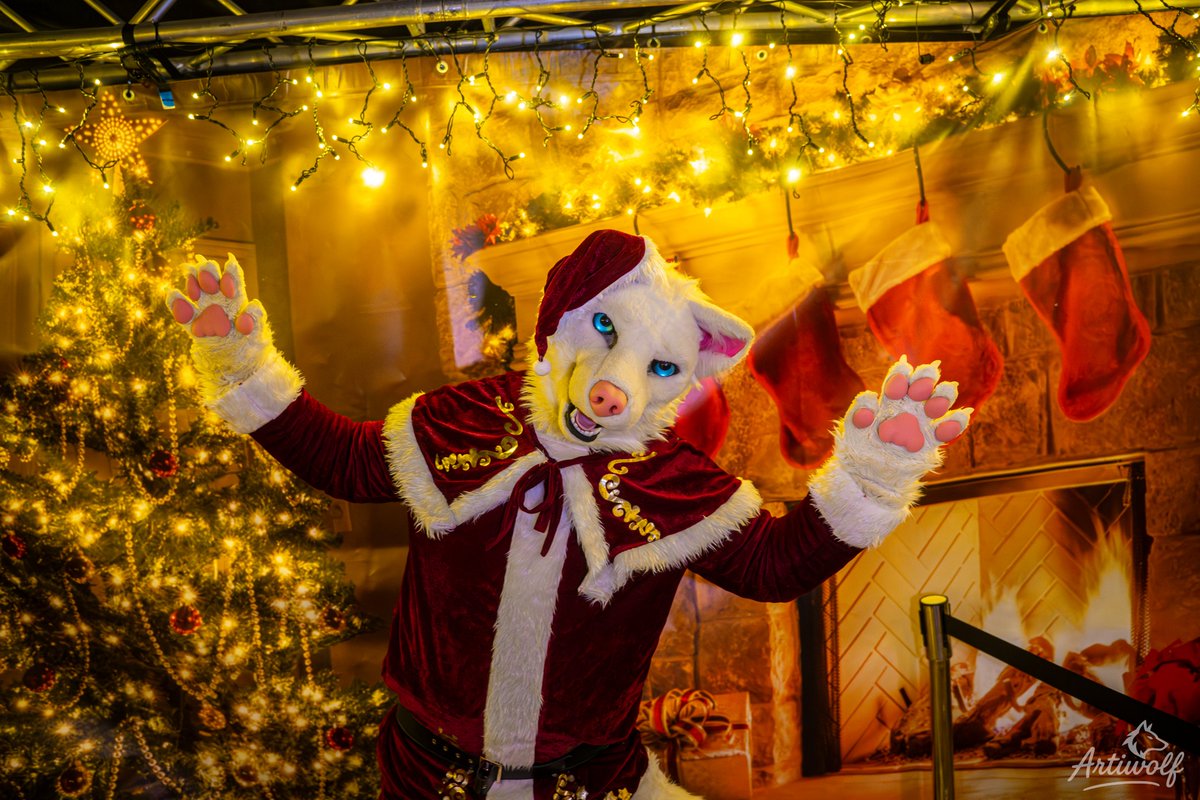 Shane_the_Wolf's tweet photo. Merry Christmas my sweet fluffs ๐
๐๐
๐บ @Shane_the_Wolf
๐ธ @mr_artiwolf
#SantaShane #xmas #merrychristmas https://t.co/2HD55reoU7