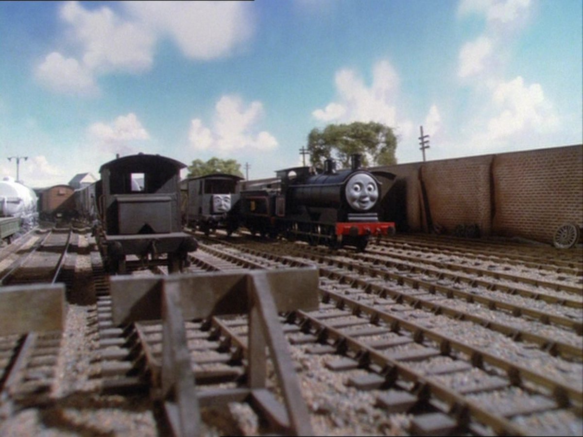 ThomasFan2002 (Tom) tweet media