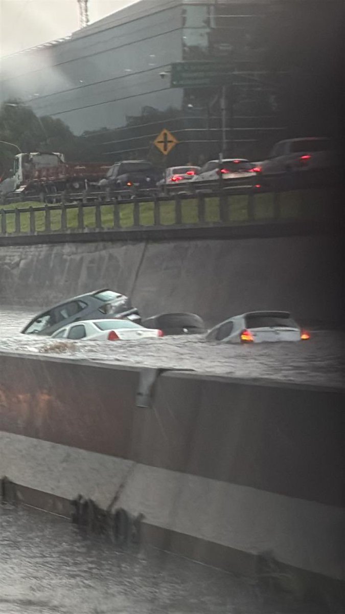 Panamericana. concesionada a Autopistas del Sol, uno de los (muchos) negocios sucios de Macri. ni un puto mango en conservación. privatizar los caminos funciona espléndido, eh.