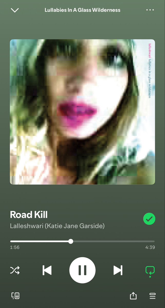 i feel like only a specific type of person enjoys this album and i'm so glad i am that type of person