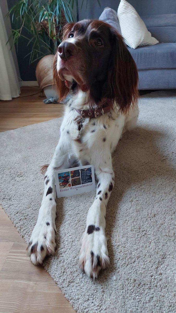 gnipped's tweet photo. Und vielen Dank an @WL_Anja und @CbhTt  für die Weihnachtspost...
Penny, ich bin völlig verrückt nach den Herzensbrechern 🤤 https://t.co/KXMWbnD5Ck