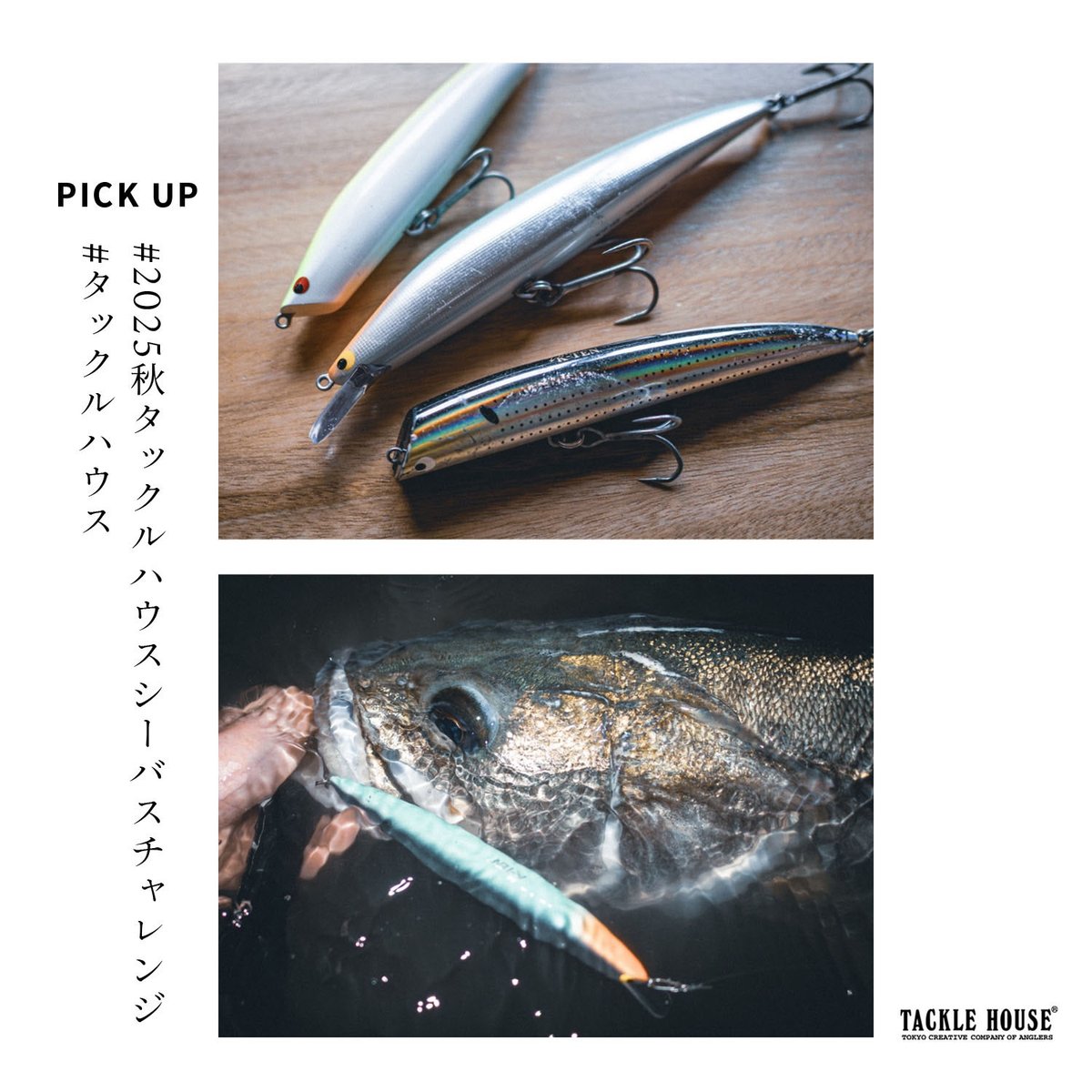 タックルハウス (@tacklehouse) / Posts / X