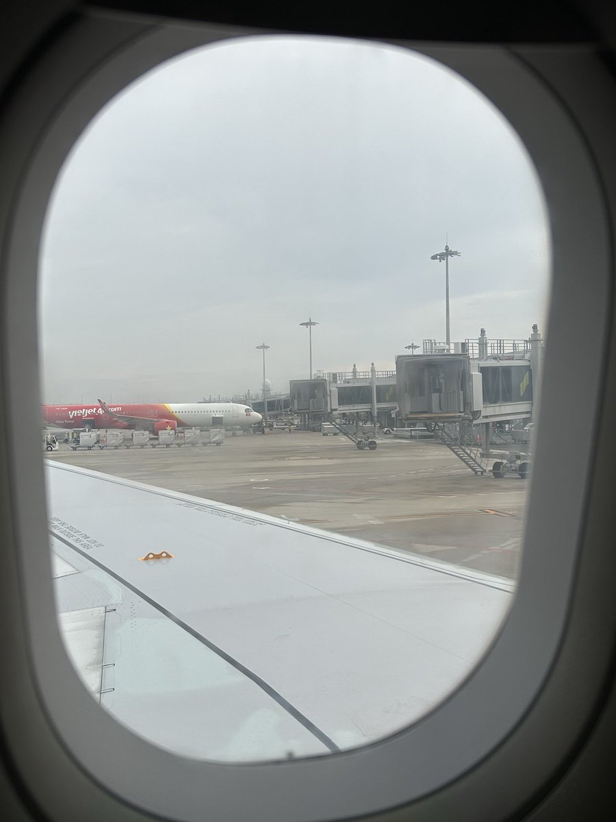 モップさん tweet media