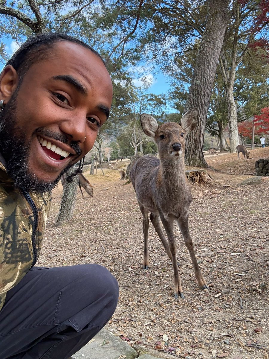 plantbasedvibe's tweet photo. Went to see the homies in Nara, Japan 🦌🇯🇵 Onwa Cafe 🍵 #nara #deerpark #japan https://t.co/2eH56TpSLO