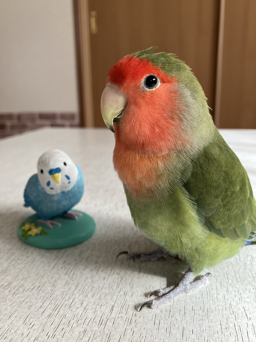 メリークリスマスイブ🎅
おはようございます☔️
皆さん、良い一日を🎄