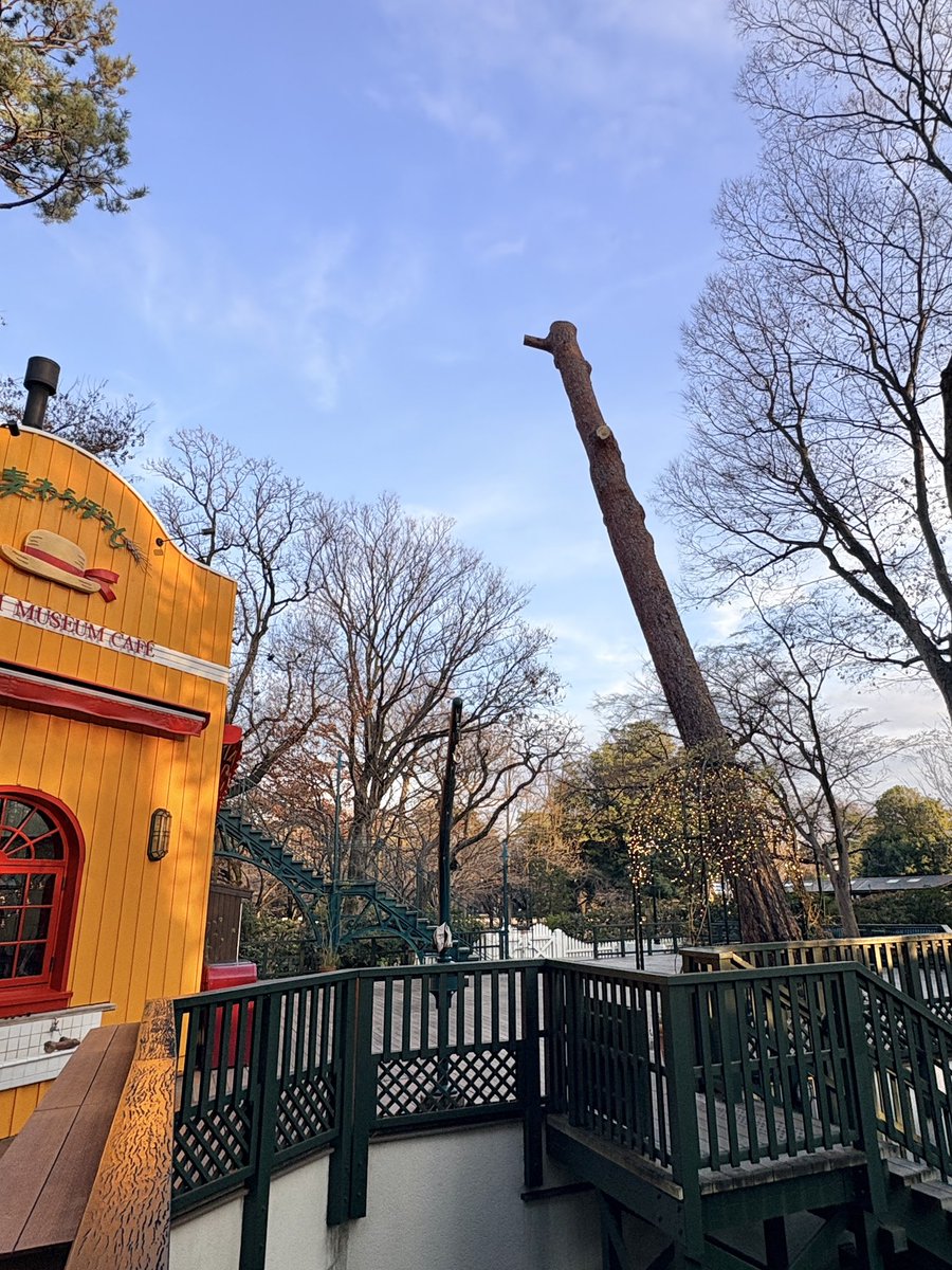 『まとめて』三鷹の森美術館オープン記念44➕1枚 ブロックのみ無し まとめて』三鷹の森美術館オープン記念44➕1枚 ブロックのみ無し