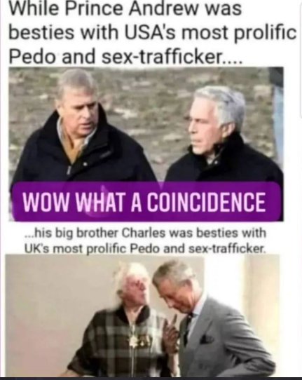 Jack Mcguire tweet media