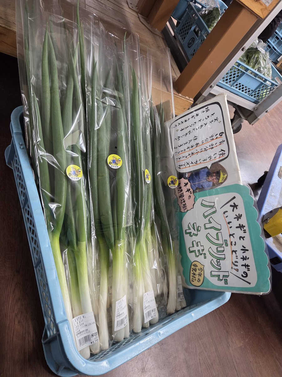 12/24(水)みなみの里に、おでん大根と、ハイブリッドネギも出荷しとります！！

これからネギも出して行きますが、次のネギは土曜になります😢
※大根、明日(木)も出せるようになりました！

今日は代打で水曜GOW!!に登場します！！

クリスマスをラジオと共に過ごしてみらんですか～(´∀｀)ノ✨