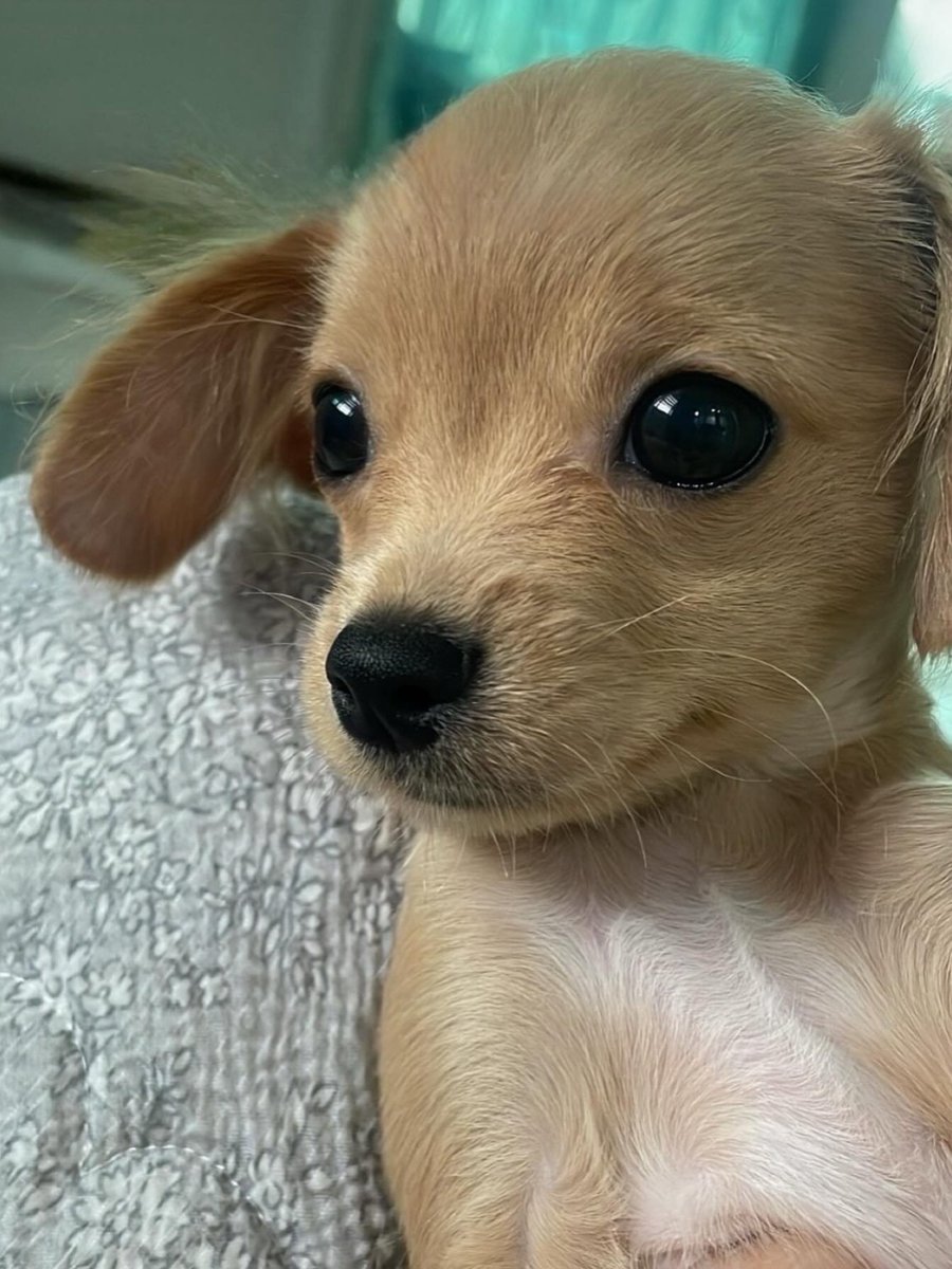 myeongiwa's tweet image. 