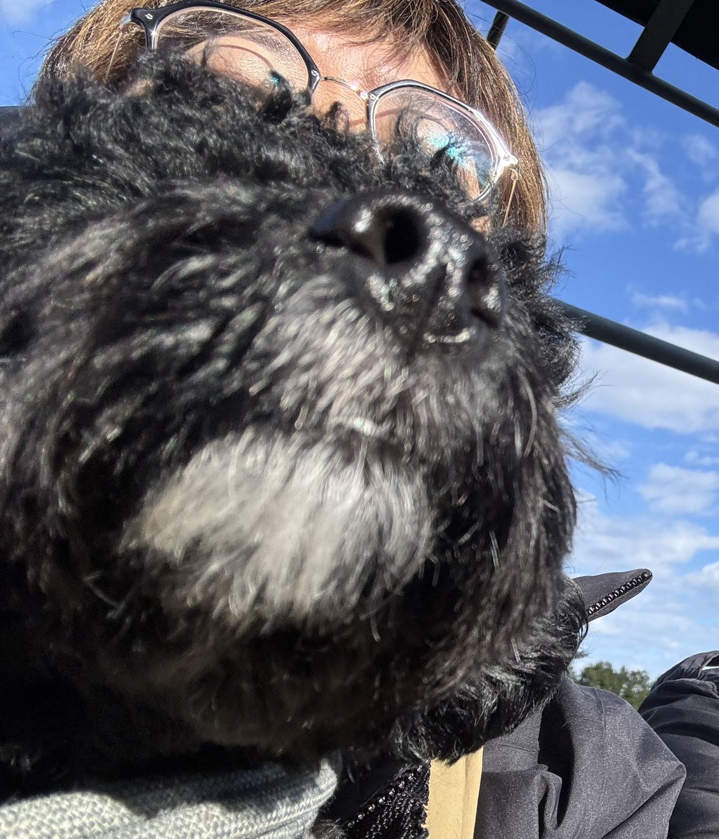 月曜日火曜日とお休みいただき、いろいろ満喫。
土曜日はShippioさんとカミナシの合同コンペ。

日曜日からは愛犬と伊豆旅行。
黒い犬の撮影も犬と一緒の自撮りも難しいことを悟りました😇