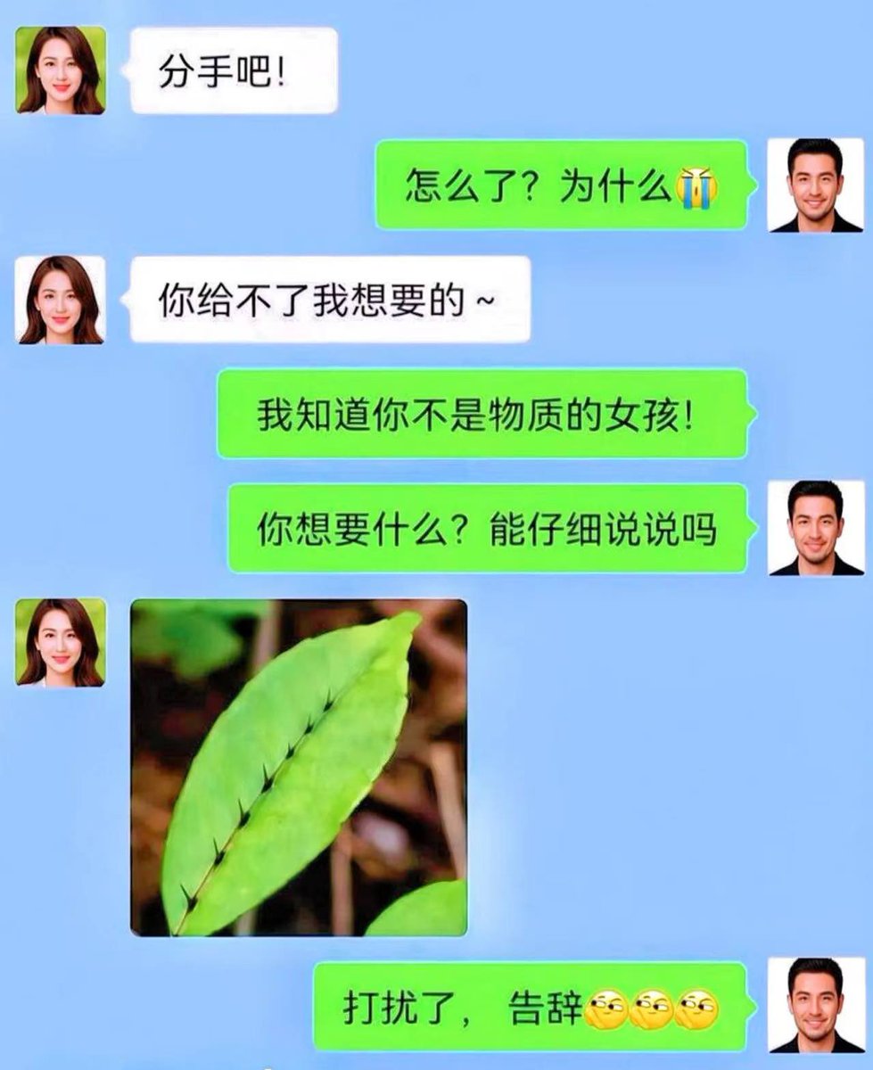 比特币老肥（敏感肥从头再来版） tweet media