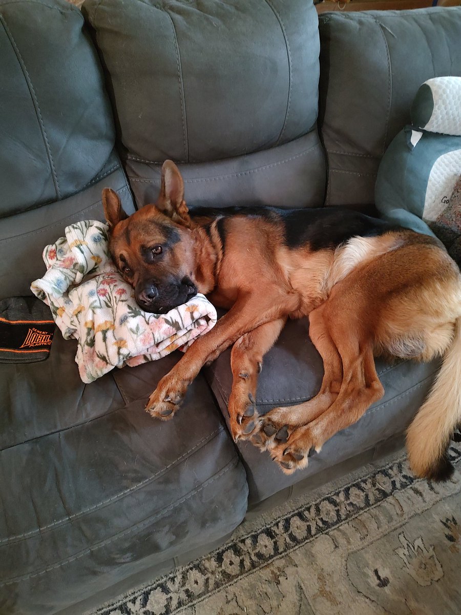 Bryan Kitchens tweet media