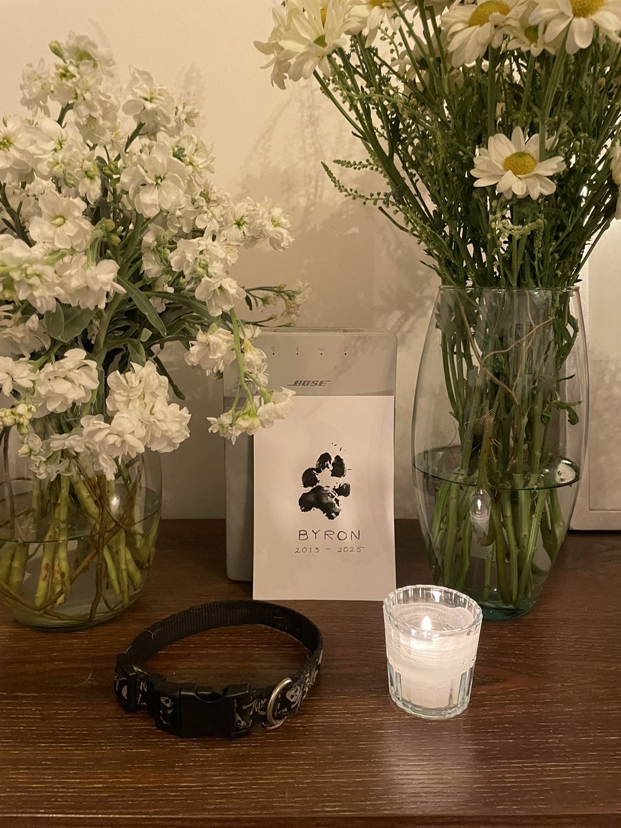 Ivette Arellano 🧘🏼‍♀️ tweet media