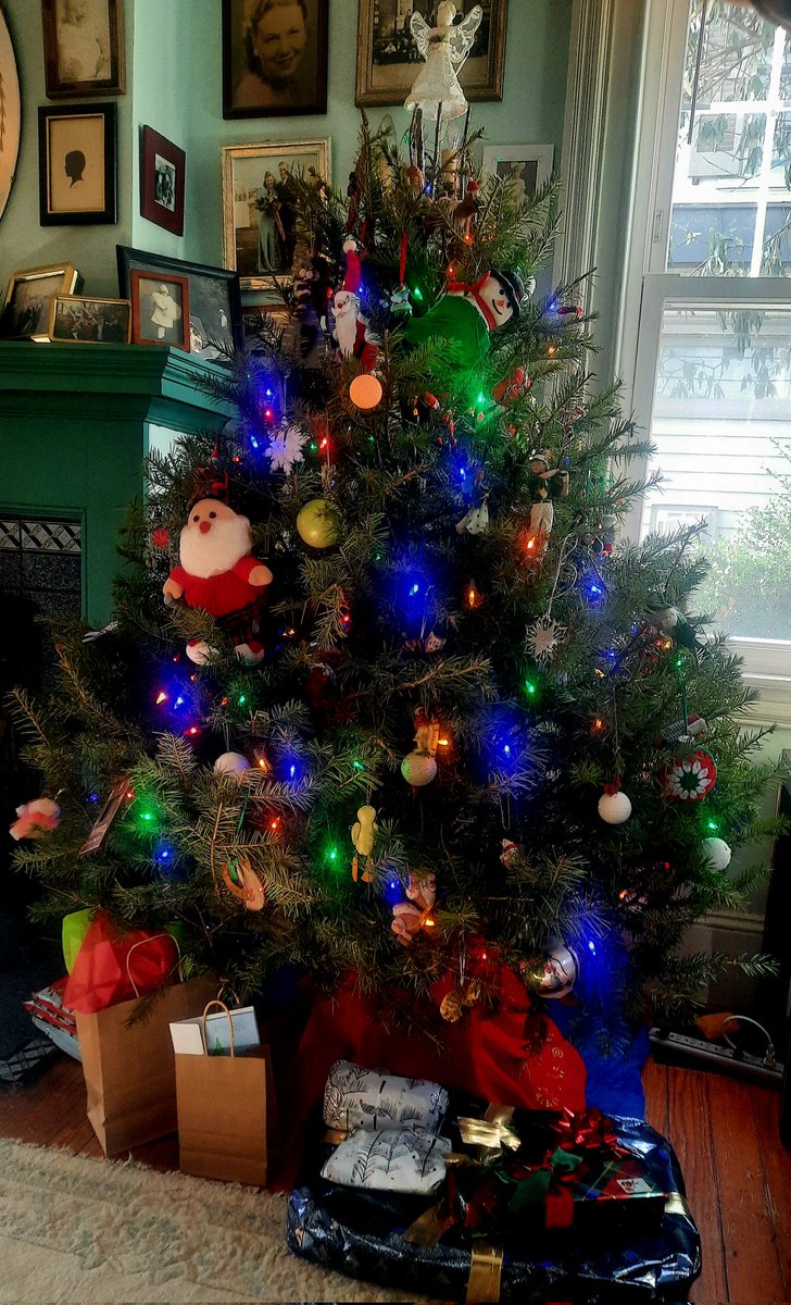 DRR1263's tweet photo. @JustineBateman Live trees have gotten inversely proportionally shorter and fatter, relative to $, but they still smell so nice! Merry Christmas. https://t.co/z9oQ8WnOwj