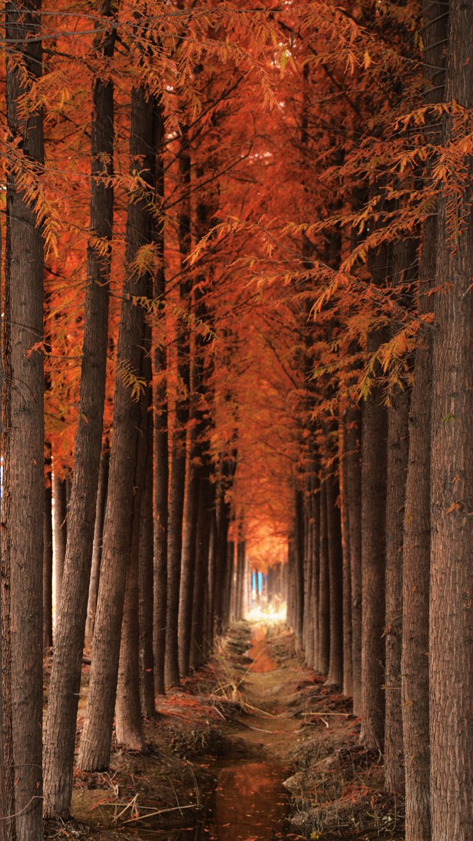 Susan（互fo） tweet media