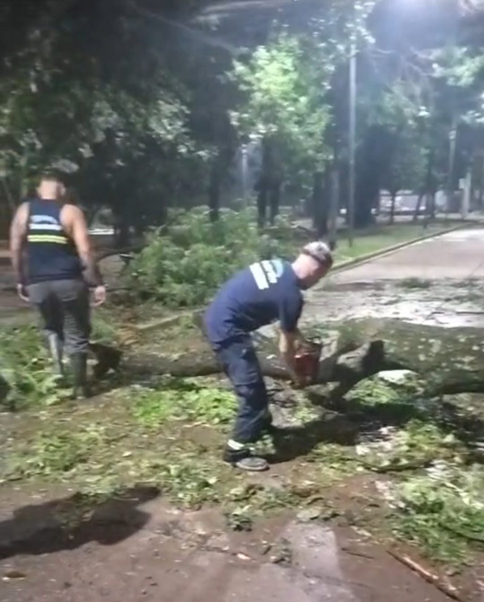 🔸Hasta el momento, se registraron 15 árboles caídos, 6 ramas caídas, 1 columna caída, 5 postes caídos y viviendas afectadas.

🔸No hay heridos, ni evacuados.