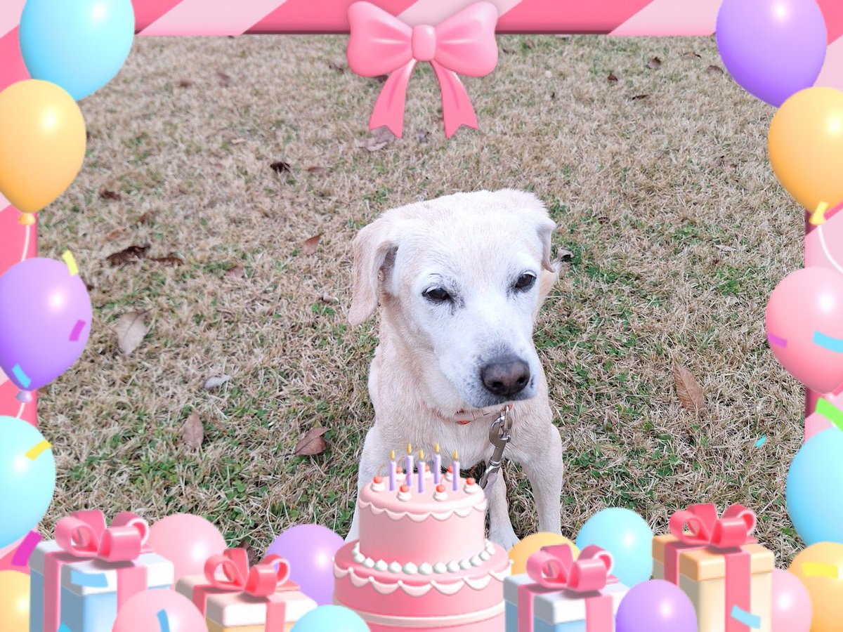 ふくちゃん様 hq720.jpg?sqp=-