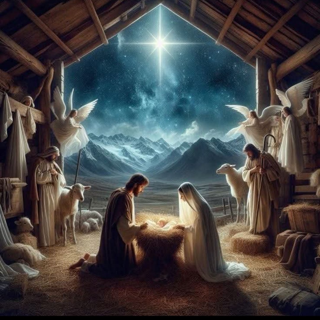 Lawyers For Justice Ireland tweet media