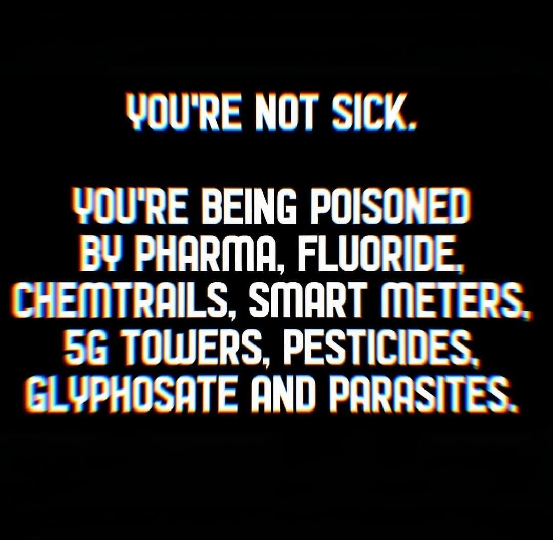 DavidWolfe's tweet image. 