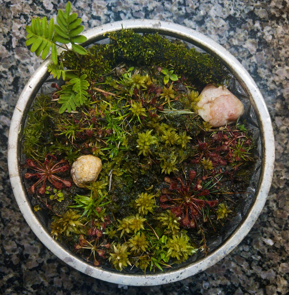 dope, it is tom tweet media