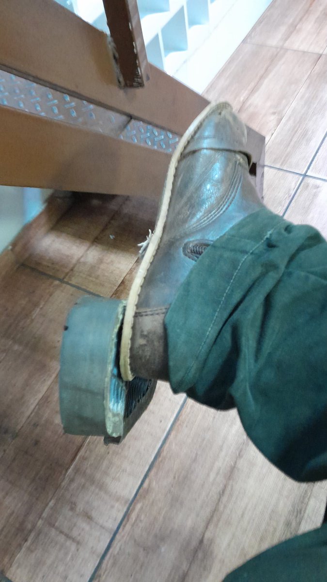 le(o)ptospirose comedor de lacraia (06/18 OPD) tweet media