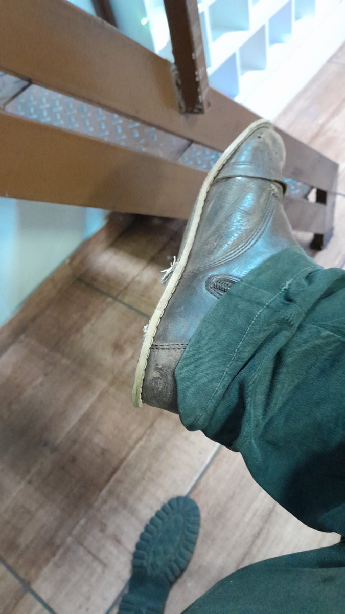 le(o)ptospirose comedor de lacraia (06/18 OPD) tweet media