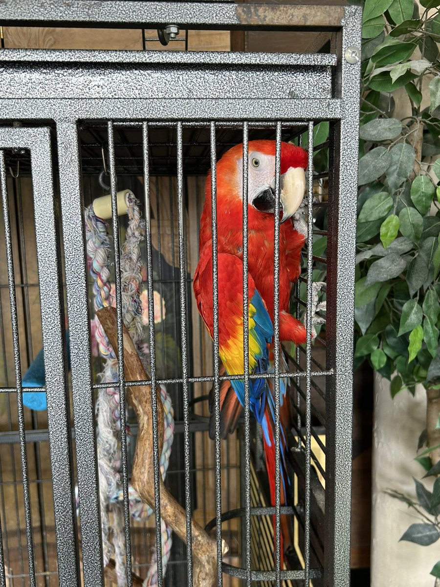 Circus Bug🎪🐝 tweet media