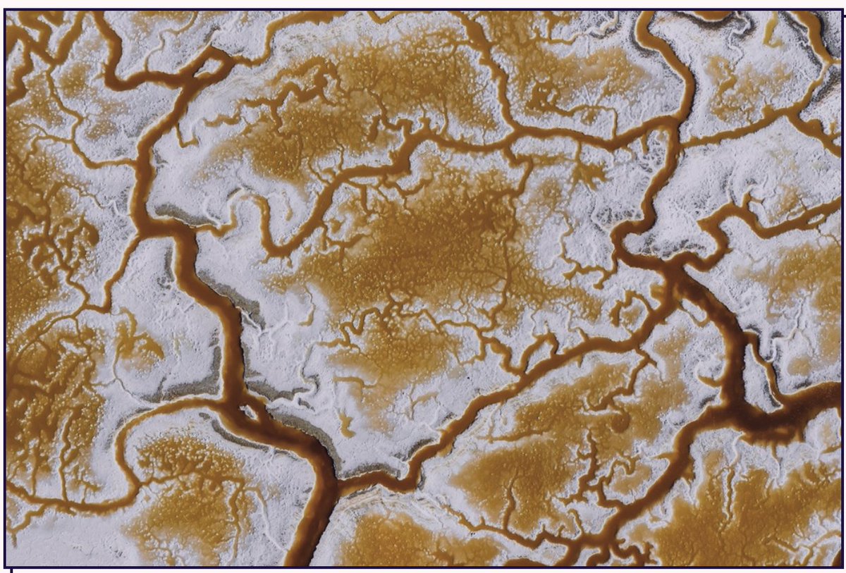 Charlie L ⚡️ tweet media