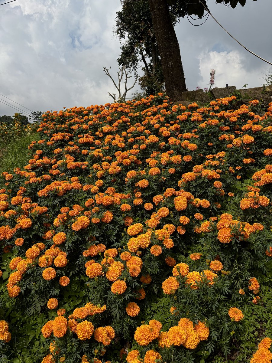 In a beautiful place with a noisy atmosphere 🧡