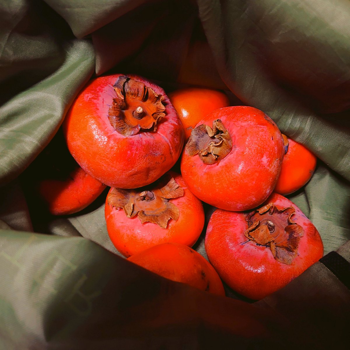 キワワ tweet media