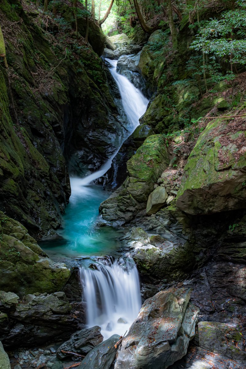 田舎でも撮るものは沢山ありますよ そこに気付けるかだけだと思ってい
